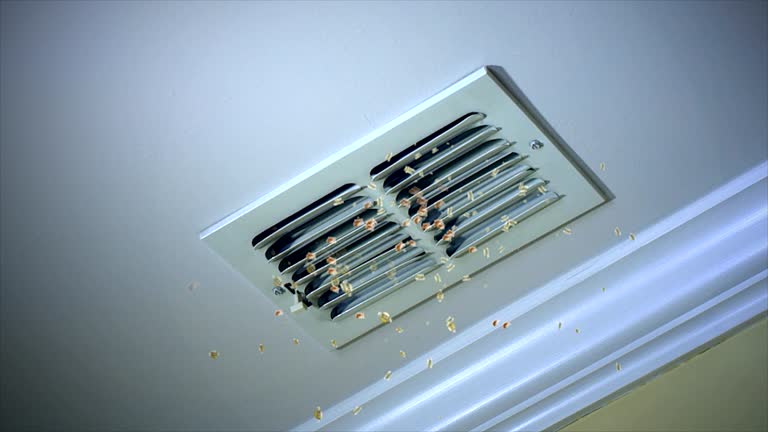 Best Ventilation Cleaning Services  in Forest Heights, MD