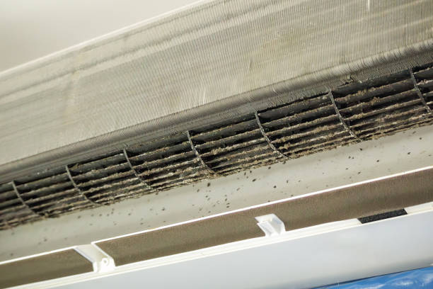 Best Ventilation Cleaning Services  in Forest Heights, MD