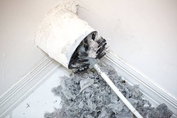 Best Best Air Duct Cleaning Company  in Forest Heights, MD